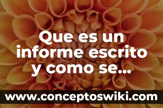 Que es el informe de detecion inicial 5 Que es un informe escrito y como se elabora