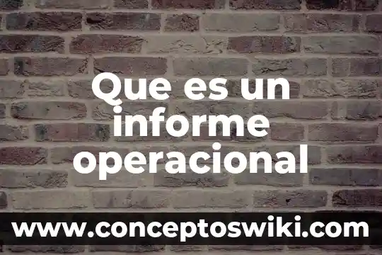 Que es el informe de detecion inicial 3 Que es un informe operacional