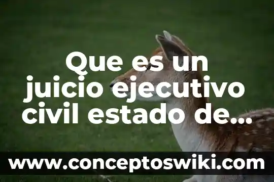 Que es la gratificacion anual en mexico 8 Que es un juicio ejecutivo civil estado de mexico