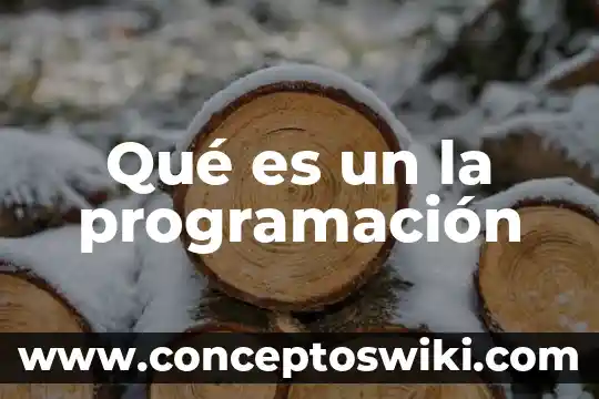 Qué es sartales significado 5 Qué es un la programación