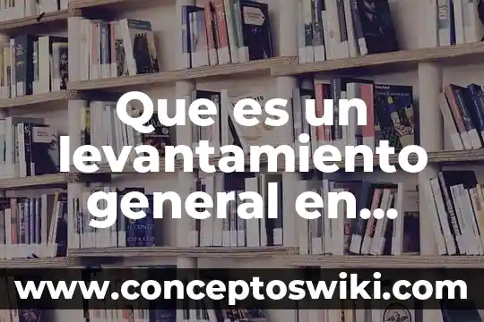 Que es un usuario general de la contabilidad 4 Que es un levantamiento general en topografia