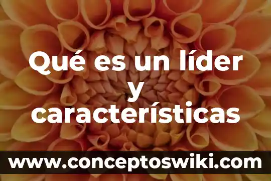 Que es un prosumidor y sus caracteristicas 6 Qué es un líder y características