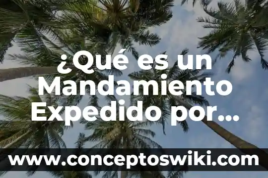 Qué es asertividad con autoridad 7 ¿Qué es un Mandamiento Expedido por la Autoridad Judicial?