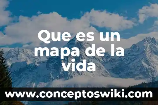 Que es un mapa de navegacion descriptivo 3 Que es un mapa de la vida