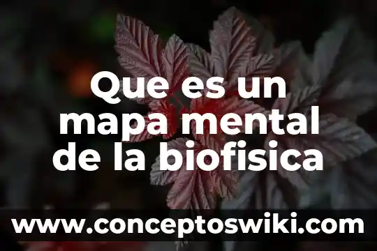 Qué es mental tecnología 4 Que es un mapa mental de la biofisica