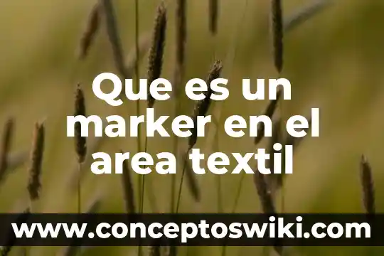 Que es el area de seguridad de un logotipo 5 Que es un marker en el area textil