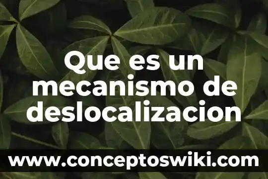 Concentrado de informaci贸n que es 6 Que es un mecanismo de deslocalizacion