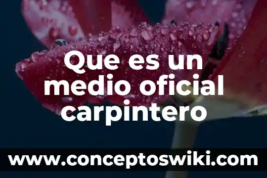 Que es una campaña oficial ejemplos 3 Que es un medio oficial carpintero