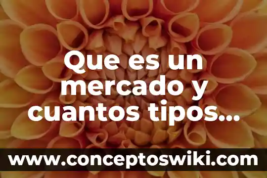 Qué es magnitud cuales y cuantos tipos de magnitud existen 5 Que es un mercado y cuantos tipos hay