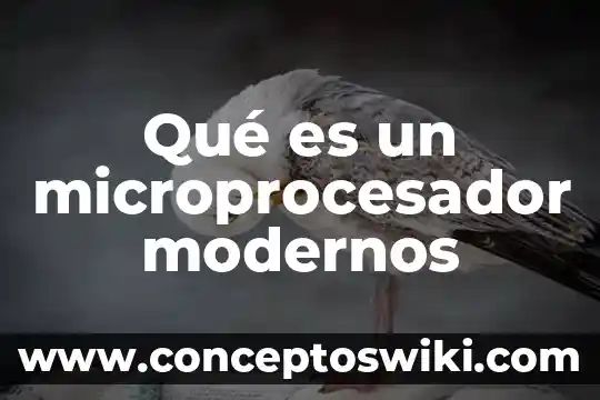 Que es una pecera definicion 8 Qué es un microprocesador modernos
