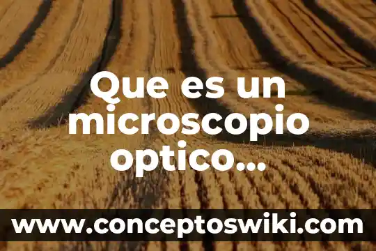 Por que es importar el microscopio 5 Que es un microscopio optico resumen