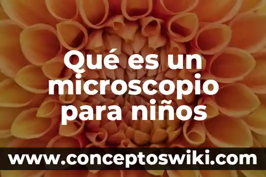 Por que es importar el microscopio 3 Qué es un microscopio para niños