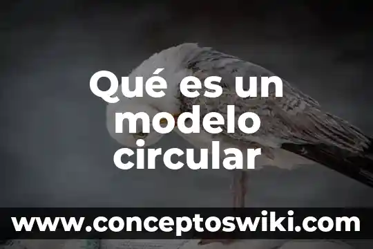 Que es el modelo perfecto en economia 8 Qué es un modelo circular