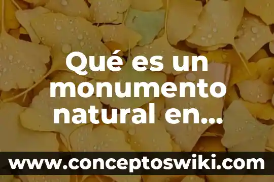 Para que es el siliprotect natural 8 Qué es un monumento natural en Chile