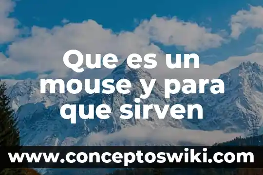 Que es y para que sirven los organizadores graficos 6 Que es un mouse y para que sirven