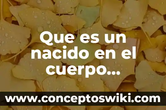 Que es el sodio en el cuerpo humano 6 Que es un nacido en el cuerpo humano
