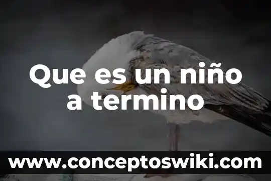 Termino resolutorio que es 5 Que es un niño a termino