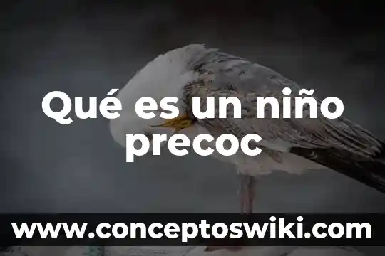 Cómo explicarle a un niño que es el amor 6 Qué es un niño precoc