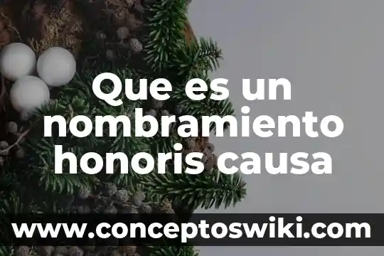 Que es ser judío alemán 6 Que es un nombramiento honoris causa
