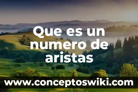 Qué es el número de vat 5 Que es un numero de aristas