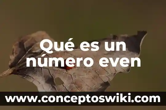El número de Fibonacci en fotografía 5 Qué es un número even