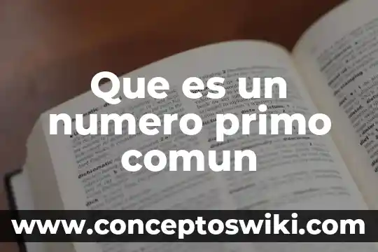 Qué es un número real y entero 3 Que es un numero primo comun