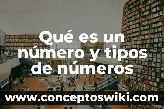 El número de Kevin Bacon 5 Qué es un número y tipos de números