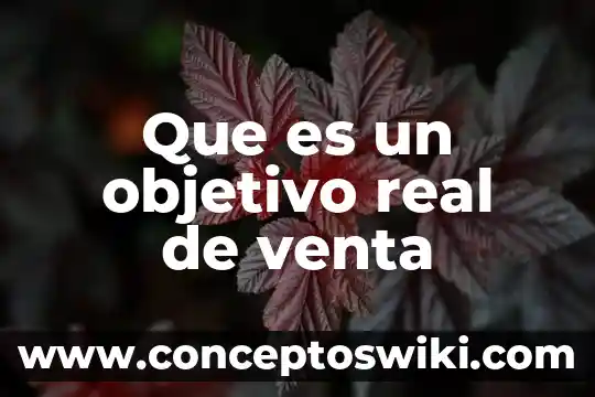 Que es la representación de venta 6 Que es un objetivo real de venta