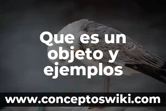 Objeto que es qumica 5 Que es un objeto y ejemplos