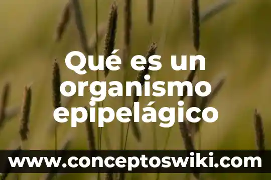 Animal que es gran cazador 4 Qué es un organismo epipelágico
