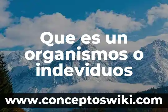 ¿Qué son los Organismos Ciliados? 3 Que es un organismos o indeviduos