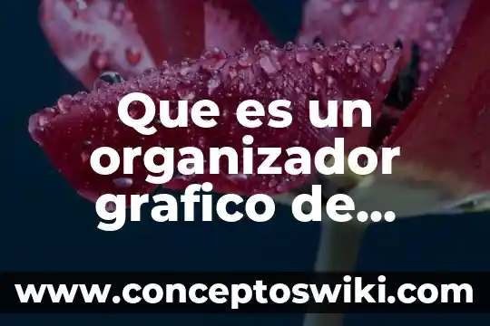 Que es el movimiento en diseño grafico 6 Que es un organizador grafico de ducumento formal y oficial