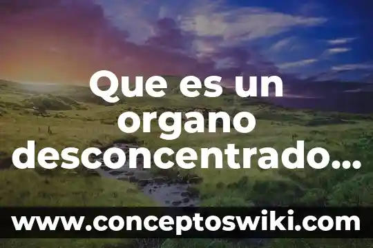 Que es un organo politica 7 Que es un organo desconcentrado de la shcp