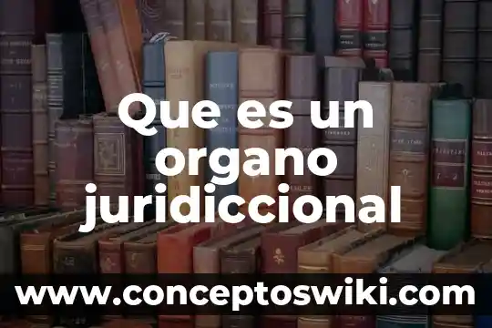 Que es un organo politica 8 Que es un organo juridiccional