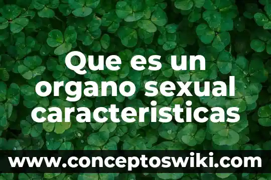 Que es un sistema unidades 6 Que es un organo sexual caracteristicas