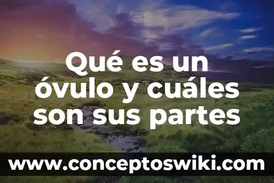 Que es una solución en partes por millon 3 Qué es un óvulo y cuáles son sus partes