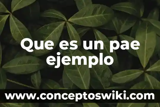 Qué es un verbo significado y ejemplo 6 Que es un pae ejemplo