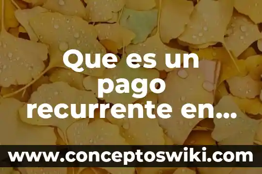 Que es paypal ejemplos 5 Que es un pago recurrente en paypal