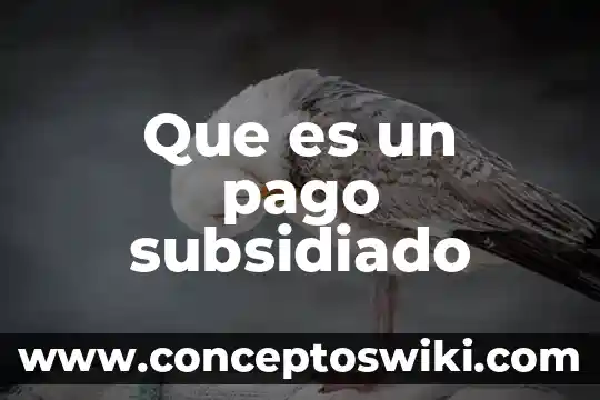 Que es pago con quita 3 Que es un pago subsidiado