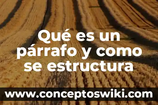 Que es estructura estructura en un oracion question negatives 5 Qué es un párrafo y como se estructura