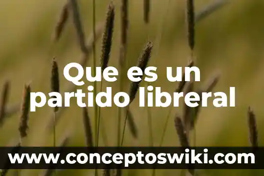 Fetiche partido de limón que es 3 Que es un partido libreral