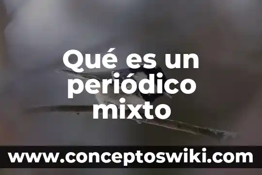 Qué es la edición en un periódico digital 6 Qué es un periódico mixto