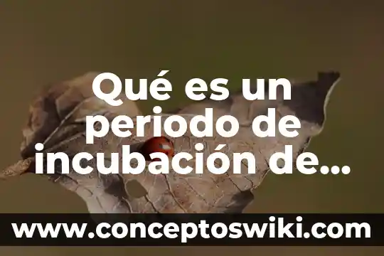 Que es el periodo de incubacion en el embazo 3 Qué es un periodo de incubación de la bacteria