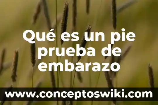 Que es un embarazo no planeado cdc 3 Qué es un pie prueba de embarazo