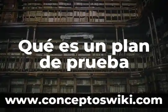 Que es la pastilla que trae la prueba de embarazo 4 Qué es un plan de prueba