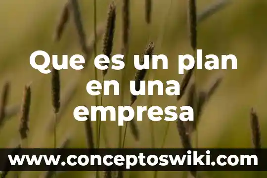 Que es un resumen ejecutivo de una empresa ejemplo 5 Que es un plan en una empresa