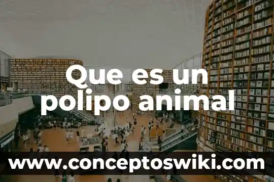 Que es la globalizacion y salud animal informacion 8 Que es un polipo animal