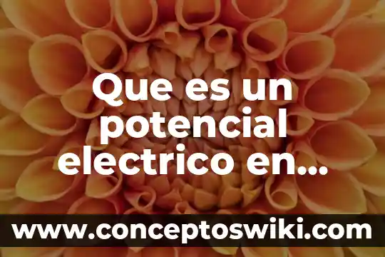 Que es un rayo electrico 8 Que es un potencial electrico en fisica