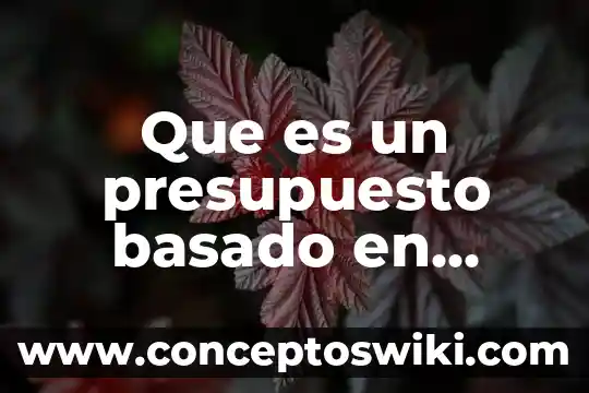 Que es estado de resultados cuentas 4 Que es un presupuesto basado en resultados