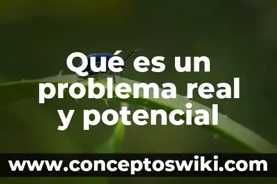 Que es el antiguo problema del camizal 6 Qué es un problema real y potencial